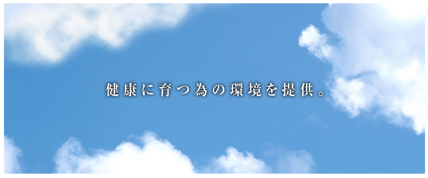 スライド2